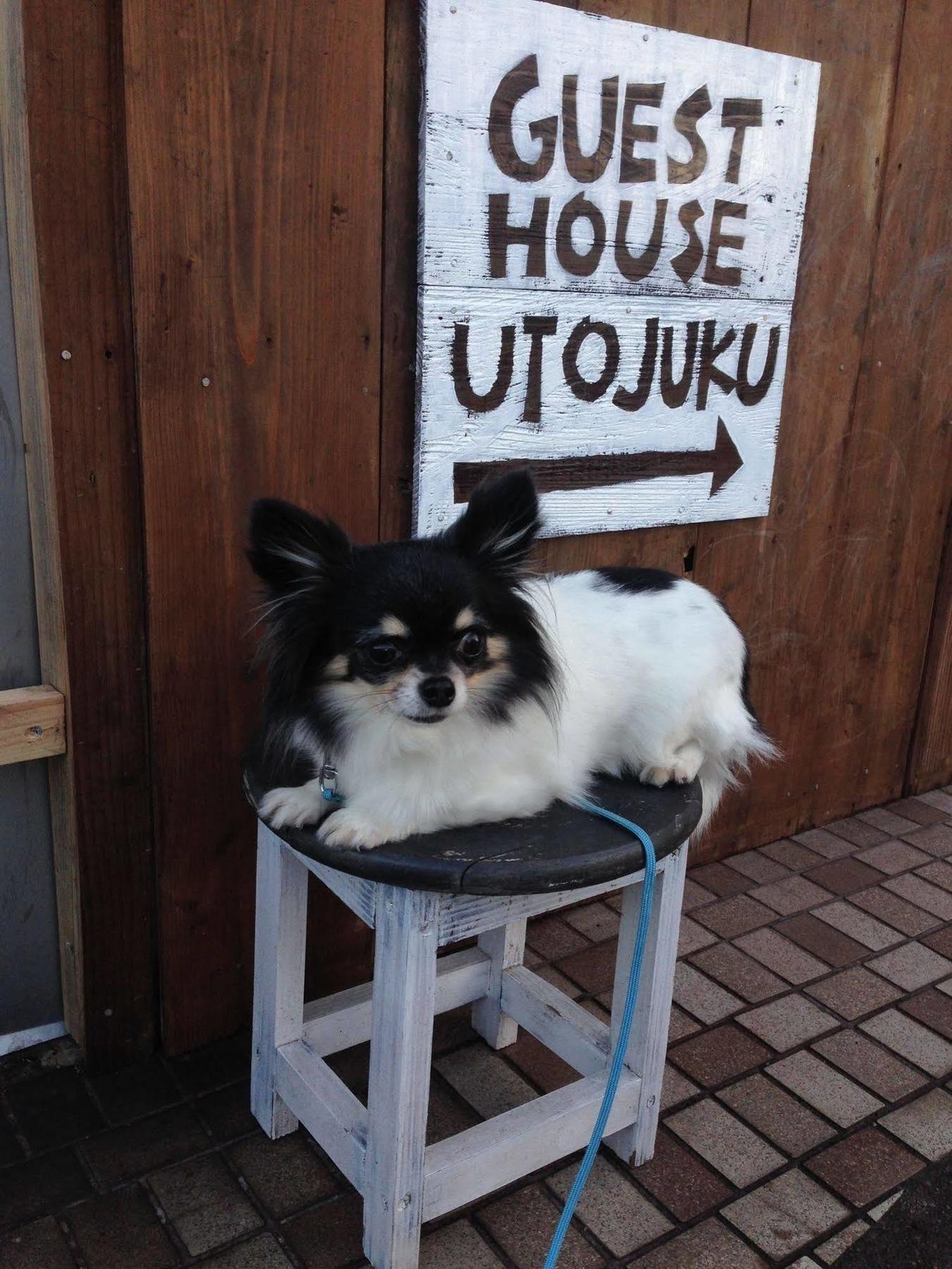 Goto Guest House Utojuku Exterior photo